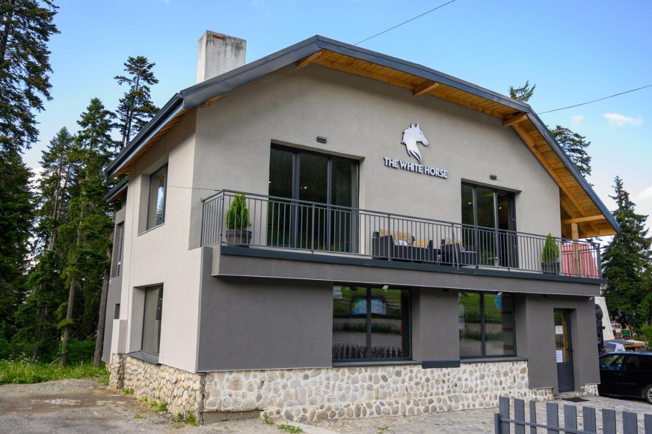 The White Horse Apartments بوروفتس المظهر الخارجي الصورة