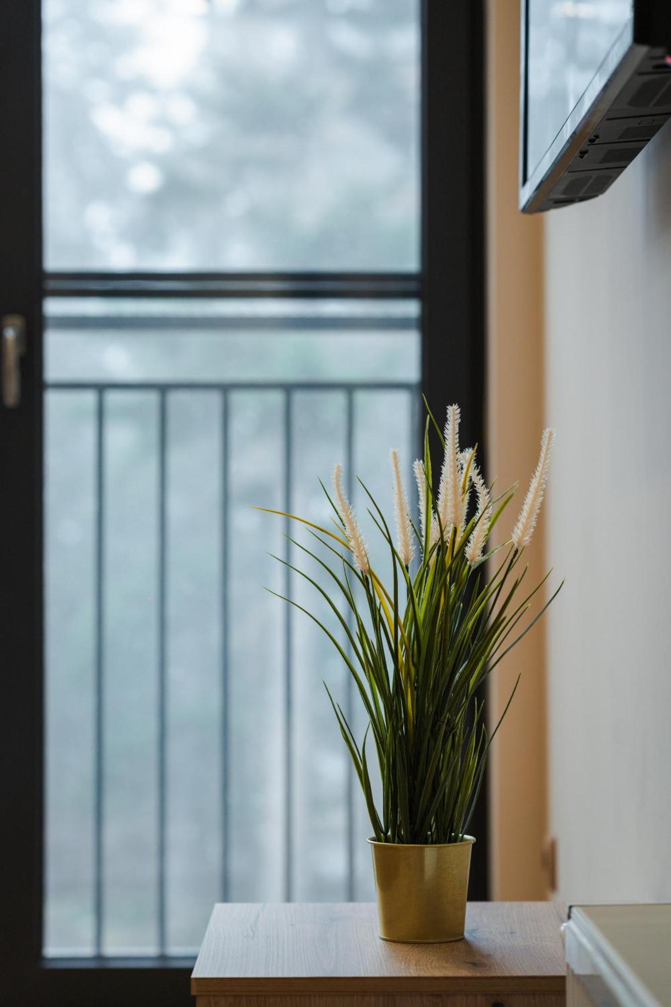 The White Horse Apartments بوروفتس المظهر الخارجي الصورة